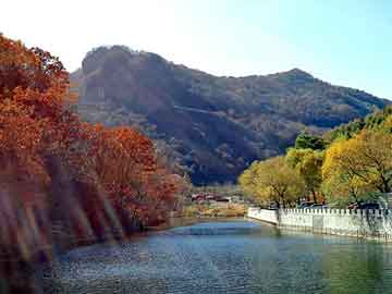 管家婆黑白马报图库，布鞋套